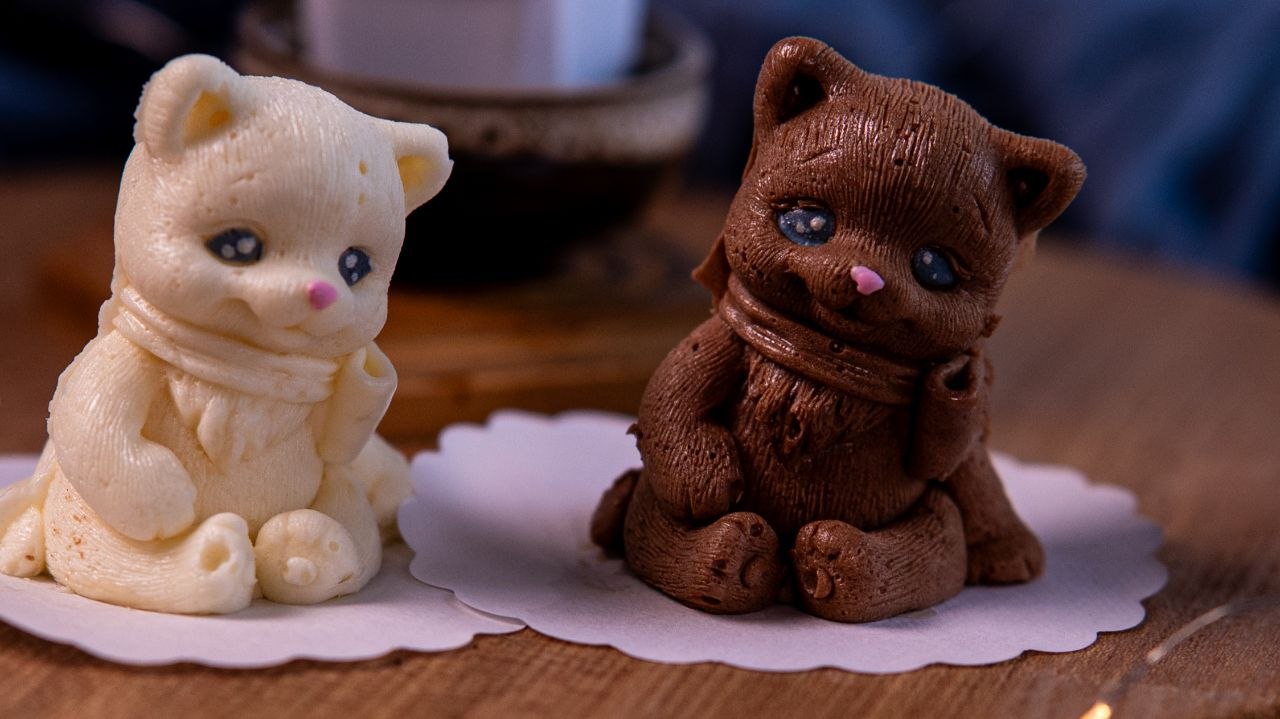 Флаппикоти: белый и шоколадный котики